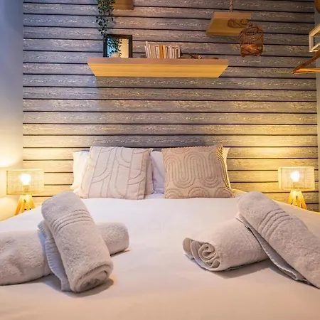 Domremy Hypercentredereims Apartment Reims