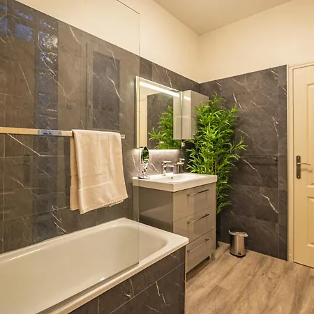 Domremy Hypercentredereims Lejlighed Reims